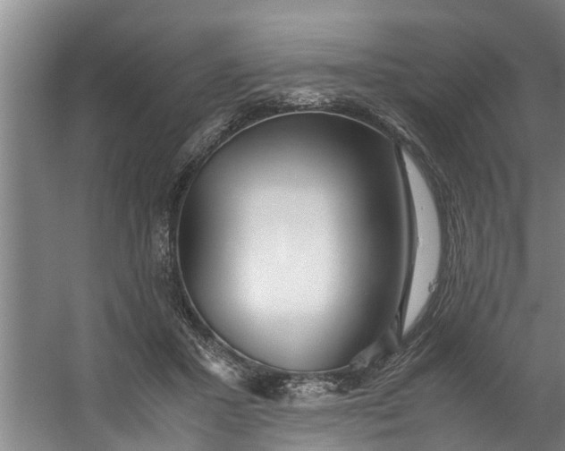 X0000059850407200511041844