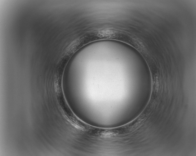 X0000059850408200511041844