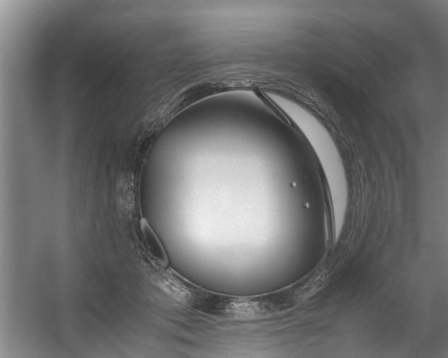 X0000059850413200511041844