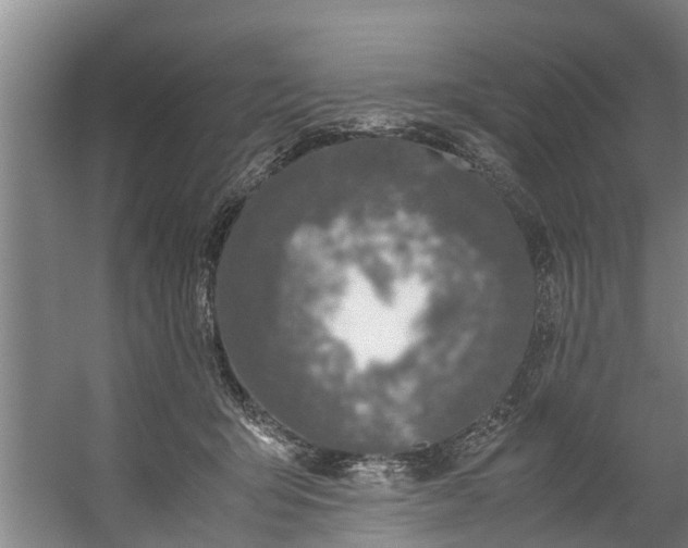 X0000059850415200511041844