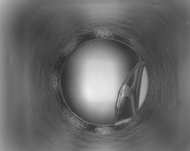 X0000059850417200511041844