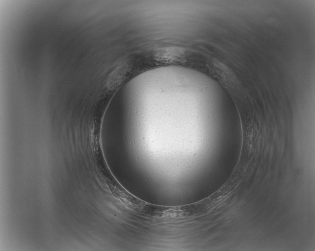 X0000059850420200511041844