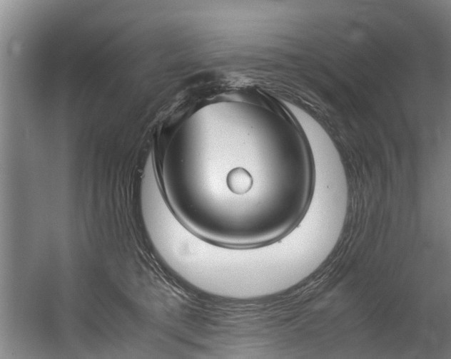 X0000059850421200511041844