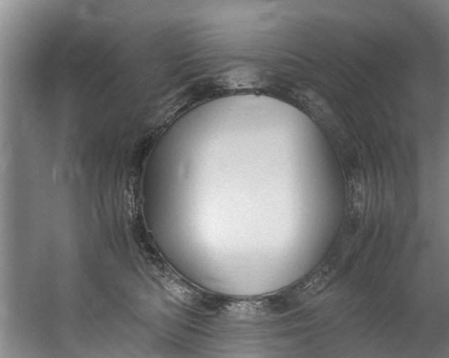 X0000059850422200511041844