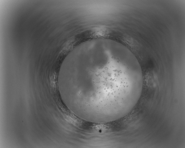 X0000059850423200511041844