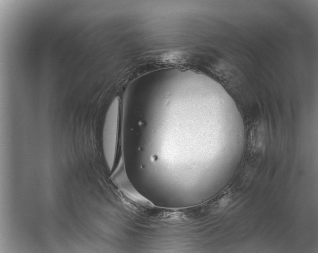 X0000059850424200511041844