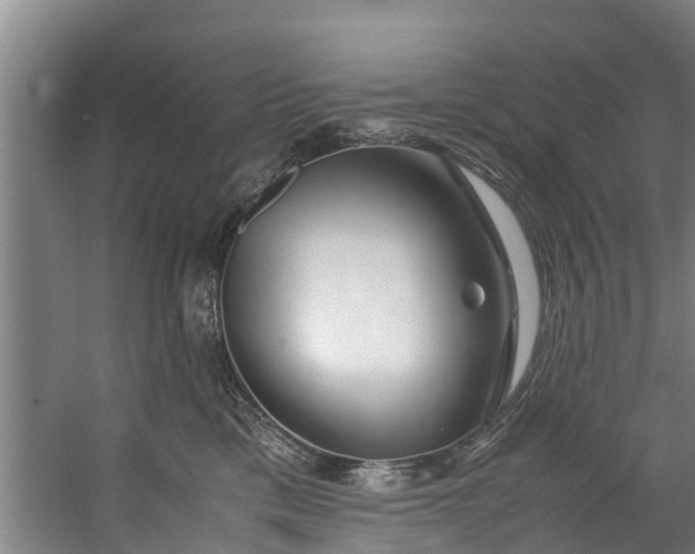 X0000059850425200511041844