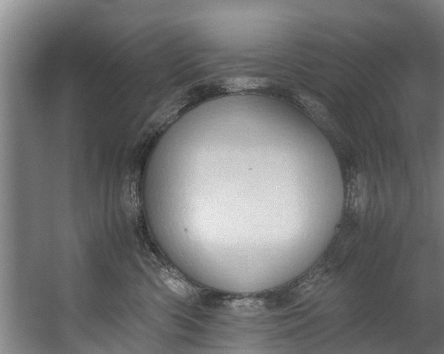 X0000059850426200511041844