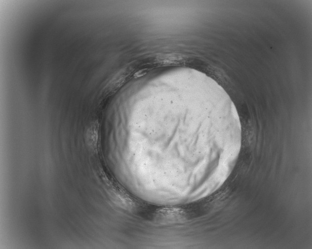 X0000059850427200511041844