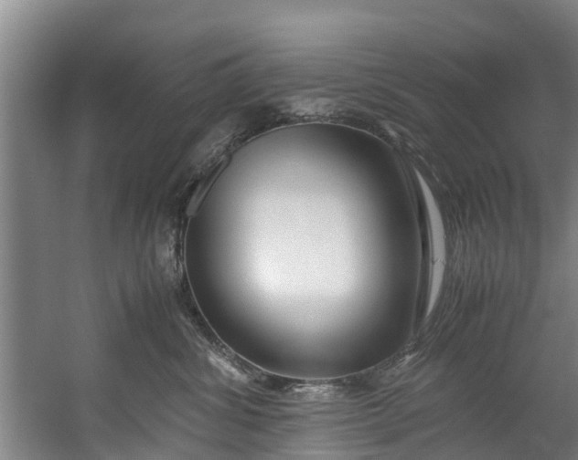 X0000059850428200511041844