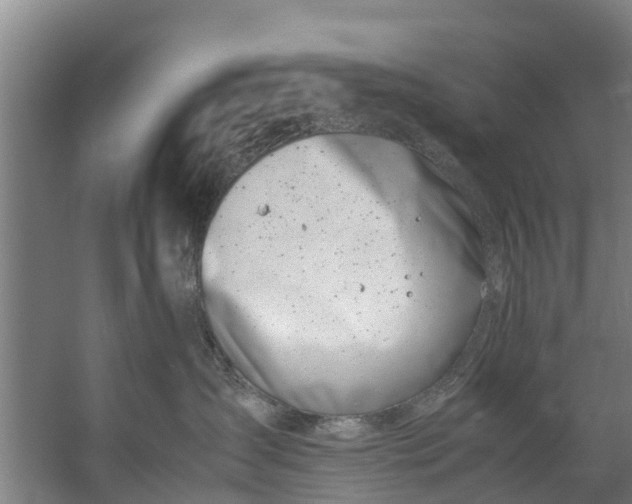 X0000059850431200511041844