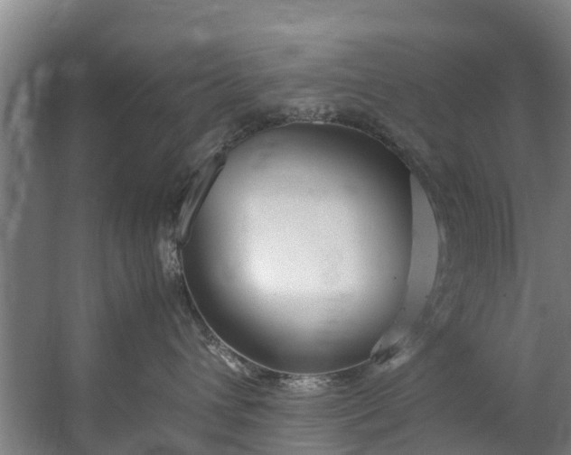 X0000059850432200511041844