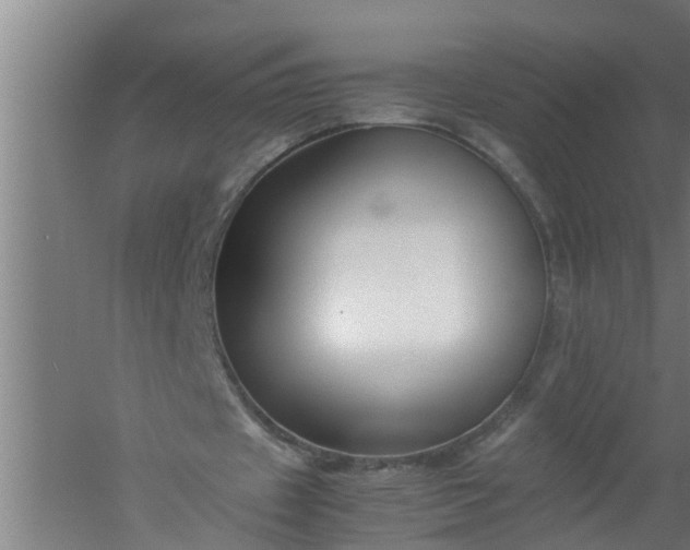 X0000059850433200511041843