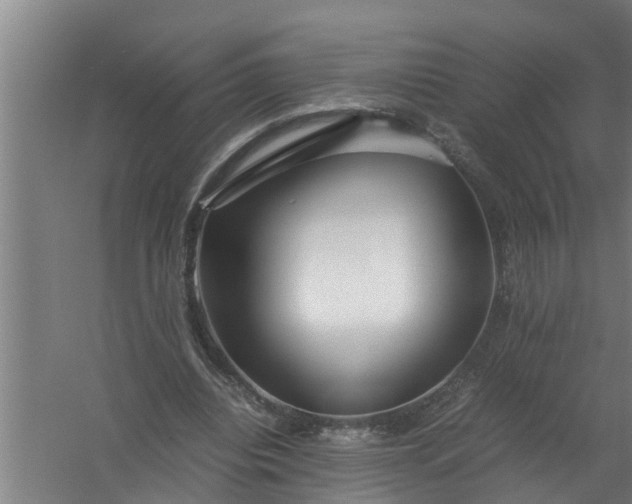 X0000059850440200511041843