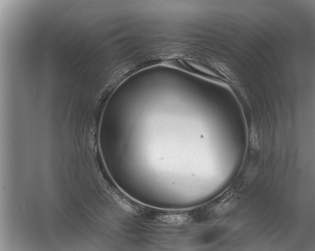 X0000059850449200511041843