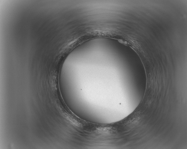 X0000059850450200511041843