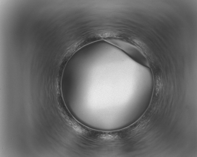 X0000059850453200511041844