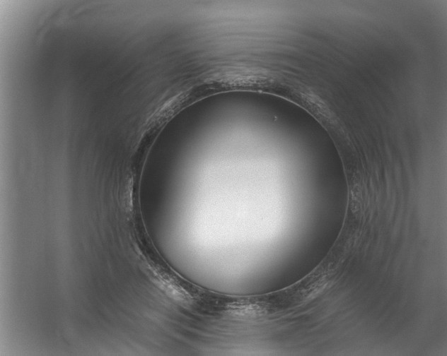 X0000059850454200511041844