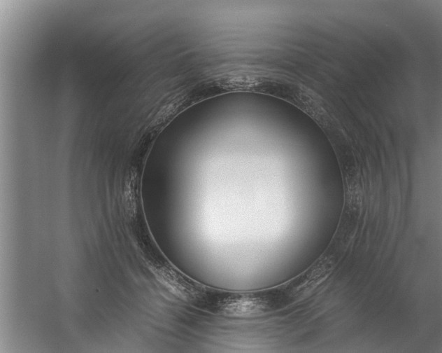 X0000059850460200511041844