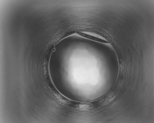 X0000059850462200511041844