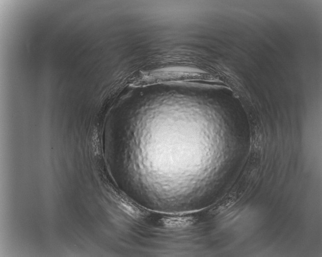 X0000059850465200511041844