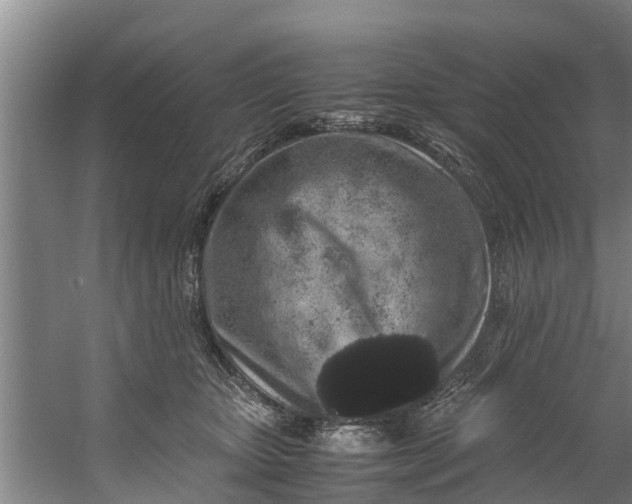 X0000059850467200511041844