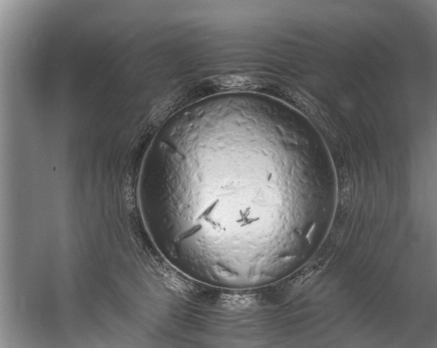 X0000059850469200511041844