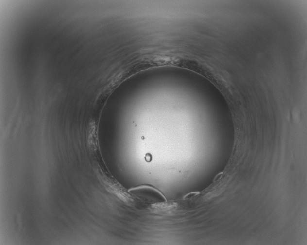 X0000059850480200511041844