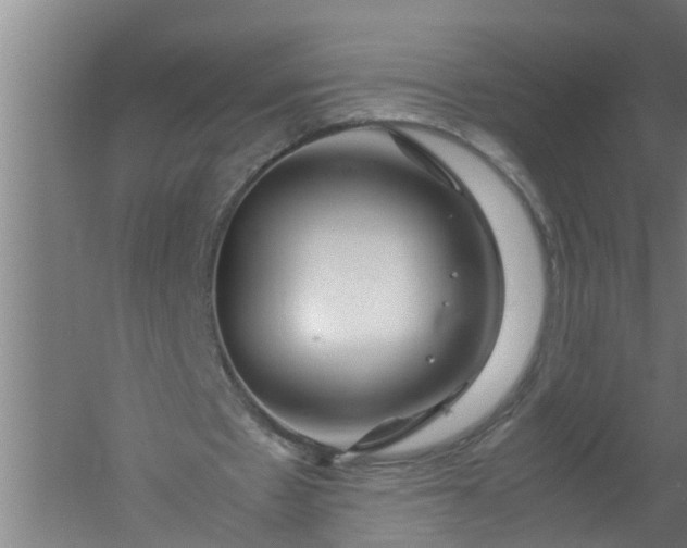 X0000059850481200511041843