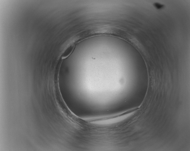 X0000059850482200511041843