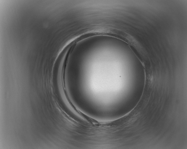 X0000059850484200511041843