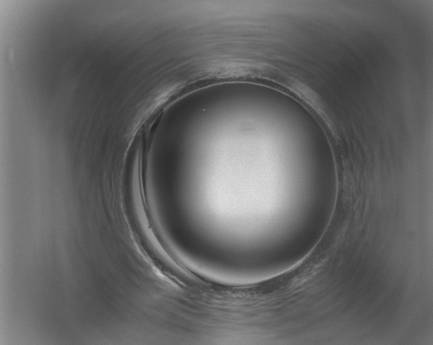 X0000059850485200511041843