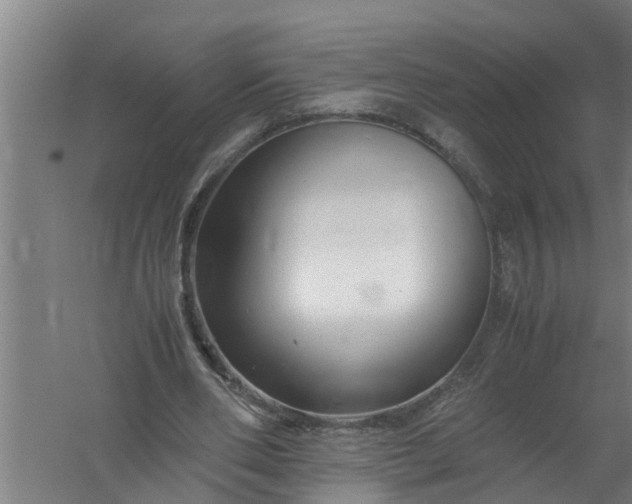 X0000059850486200511041843