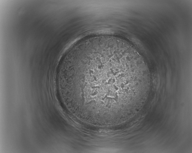 X0000059850487200511041843