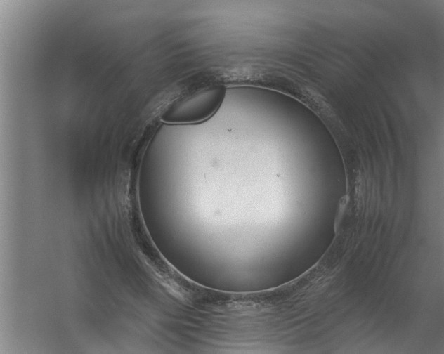 X0000059850490200511041843