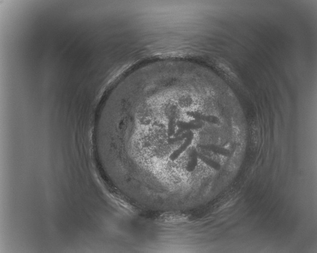 X0000059850491200511041843