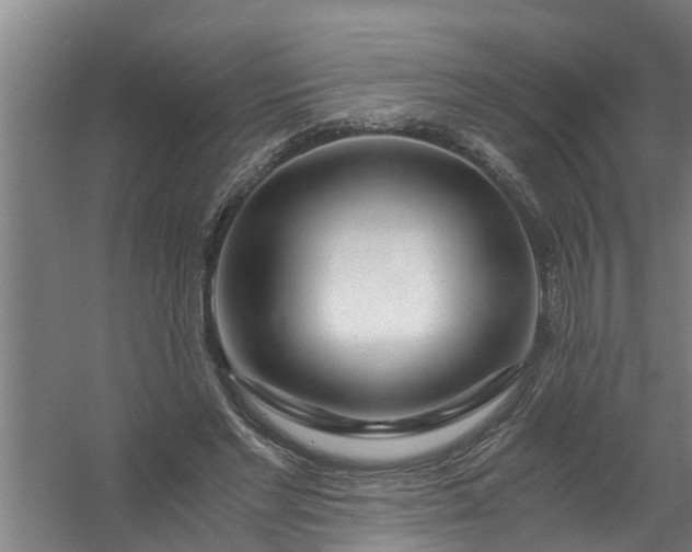 X0000059850493200511041843