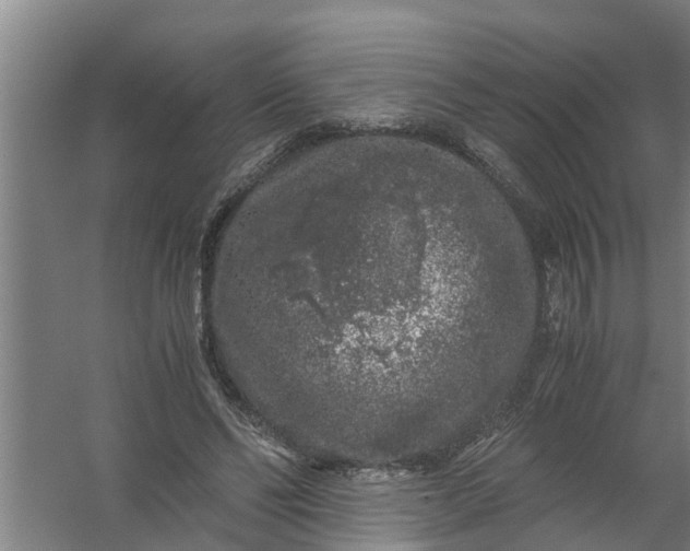 X0000059850494200511041843