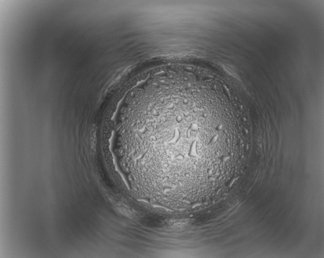 X0000059850495200511041843