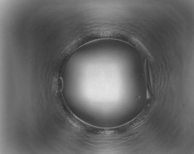 X0000059850497200511041843