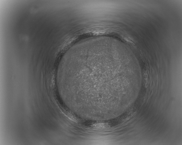 X0000059850499200511041843