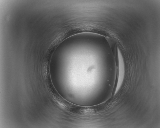 X0000059850501200511041843