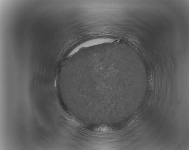 X0000059850503200511041843