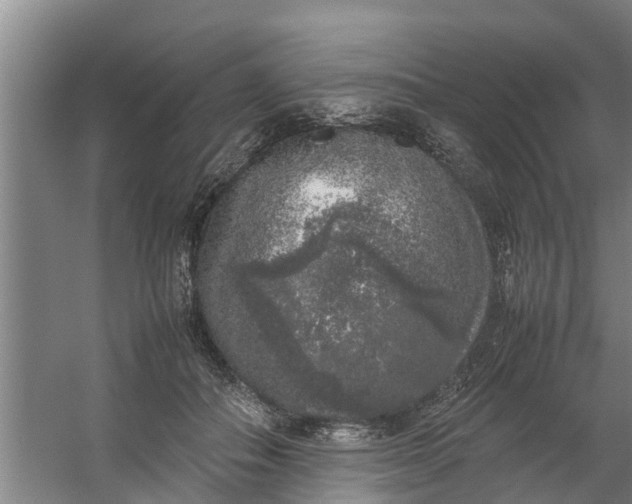 X0000059850506200511041843