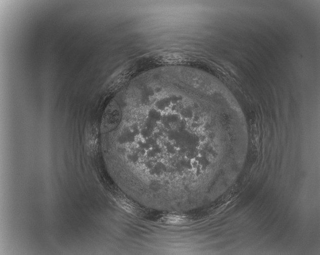 X0000059850507200511041843