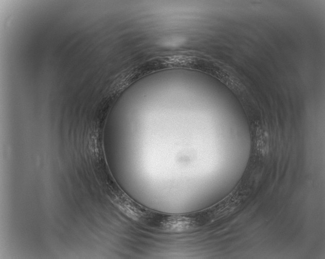 X0000059850514200511041843