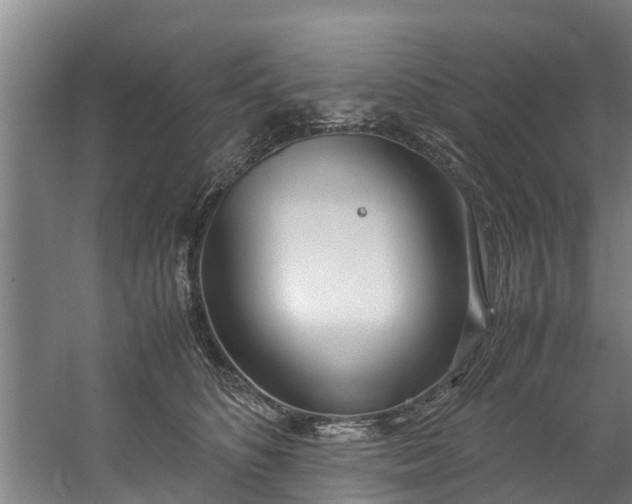 X0000059850516200511041843