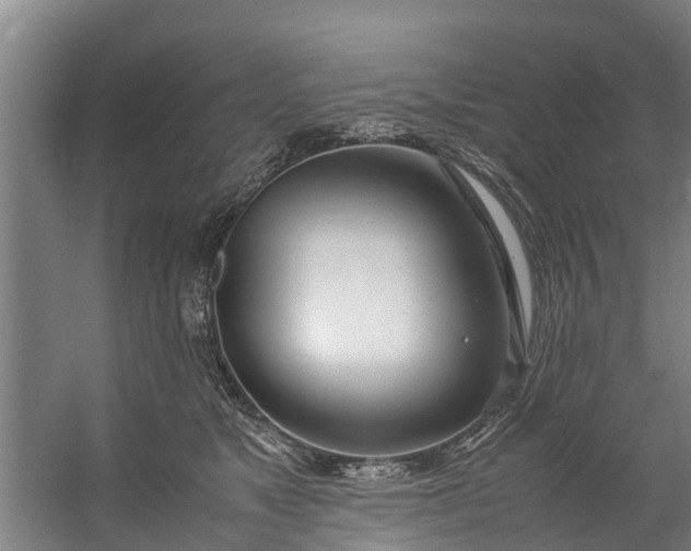 X0000059850517200511041843