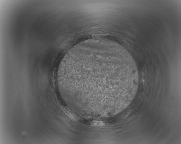 X0000059850519200511041843