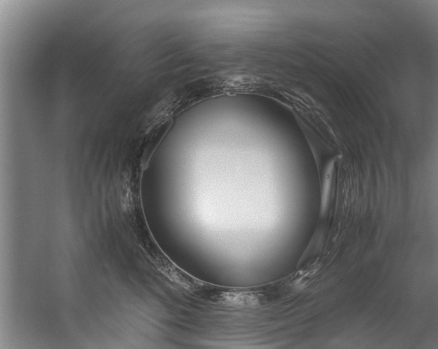 X0000059850520200511041843